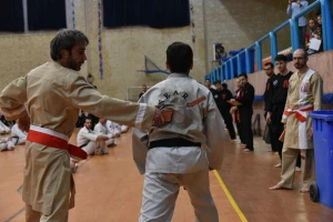 دفاع شخصی - هنر رزمی نیرو