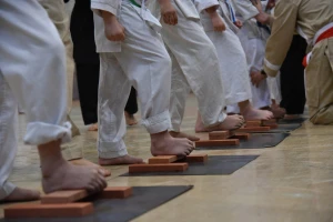 دفاع شخصی - هنر رزمی نیرو