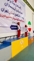آکادمی تکواندو و دفاع شخصی استاد میری