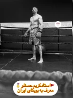 باشگاه کیک بوکسینگ ، رزمی و بوکس حسنلو