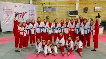 آکادمی تکواندو و دفاع شخصی استاد میری