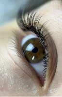 خدمات اکستنشن مژه لیفت لمینت مژه و ابرو