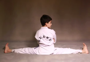 دفاع شخصی - هنر رزمی نیرو