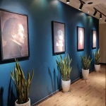 آموزشگاه موسیقی عالمی