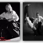 آیکیدو می سی کای