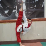  آموزش تکواندو (استادرضائی)