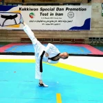 باشگاه تکواندو