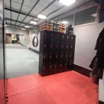  باشگاه ورزشی شینتو