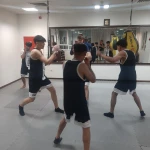  آکادمی بوکس کیا ولنجک