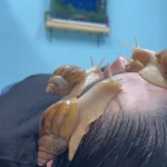 آرایشگاه و مرکز زیبایی مردانه کاتینو