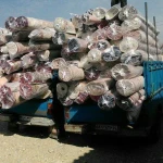 قالیشویی مروارید