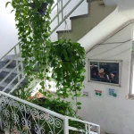 آموزشگاه زبان گستران
