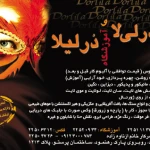 نمونه کار سالن درلی لا