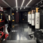 باشگاه تخصصی رزمی پانچ