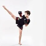 باشگاه کیک بوکس استاد پرتولاله