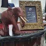 نمونه کار موسسه حقوقی بین المللی اریکه عدل