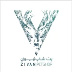 نمونه کار فروشگاه ژیوان