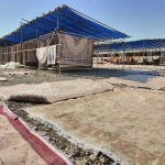 قالیشویی گلستان