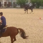  باشـگاه سوارکاری شهرک غزالی
