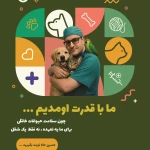 بیمارستان دامپزشکی حیوانات خانگی زی