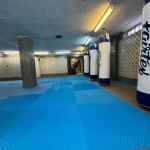 باشگاه هنر های رزمی zarefightclub