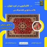  قالیشویی هموطن