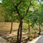  باشگاه بانوان بدنسازی دکتر اچ