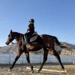 باشگاه سوارکاری راگا