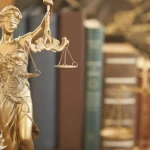  مریم حیدری - وکیل پایه یک دادگستری