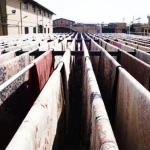  قالیشویی شاد اوغلی