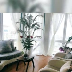 کلینیک روانشناسی دکتر مطهره رجبی