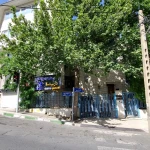 نمونه کار بیمارستان دامپزشکی شبانه روزی درنیکا