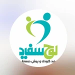 لوگوی مهد کودک و پیش دبستانی لوح سفید