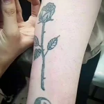 نمونه کار کیلینیک زیبایی مه نگار