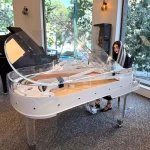 پانيذ قادري : مدرس پيانو