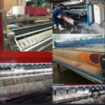  قالیشویی راستین(دارای نماد صداقت )