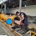  قالیشویی طلوع