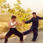 باشگاه رزمی جیت کاندو