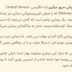 نوشین دادبین