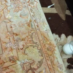  قالیشویی پاتریس