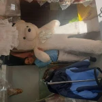 خشکشویی زاگرس نوین