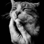 نور و نگار آموزش حرفه ای نقاشی غرب تهران