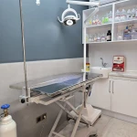 نمونه کار کلینیک دامپزشکی پت شاپ دکتر پُرکار
