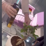 کلینیک پوست ومو و زیبایی هفت تیر