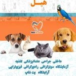 لوگوی کلینیک دامپزشکی هیل (آرایشگاه و پت شاپ)