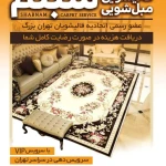 لوگوی قالیشویی تخصصی شبنم