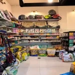 پت شاپ بلوبری