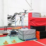  باشگاه ژیمناستیک فرهنگسرا بهمن(ایگِل)