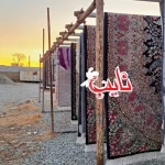 قالیشویی نایب