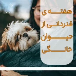 تصویر بیمارستان دامپزشکی ارم